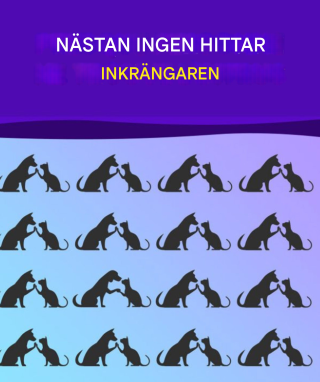 Hitta den udda och träna din hjärna som en mästare