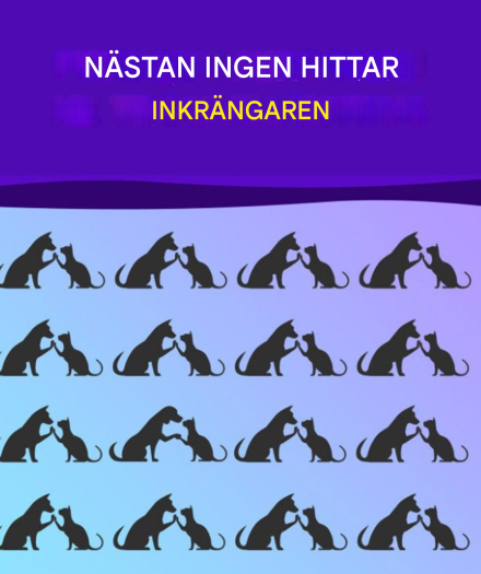 Hitta den udda och träna din hjärna som en mästare