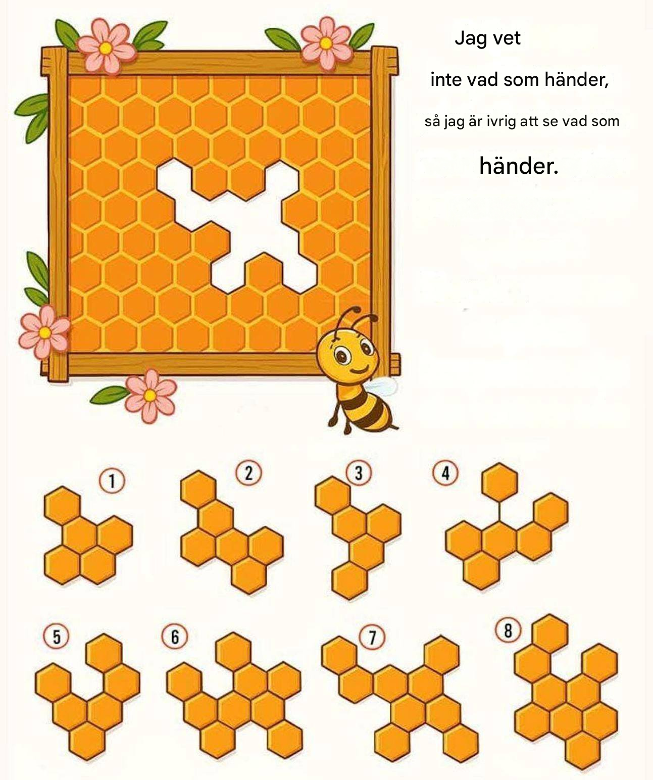 Hitta den saknade biten i bikakemönstret och upptäck vem som går vid din sida.