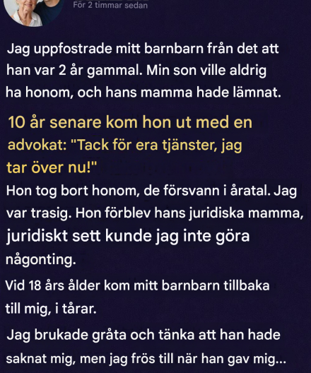 Hon tog mitt barnbarn ifrån mig efter att jag hade uppfostrat honom – år senare återvände han förvandlad