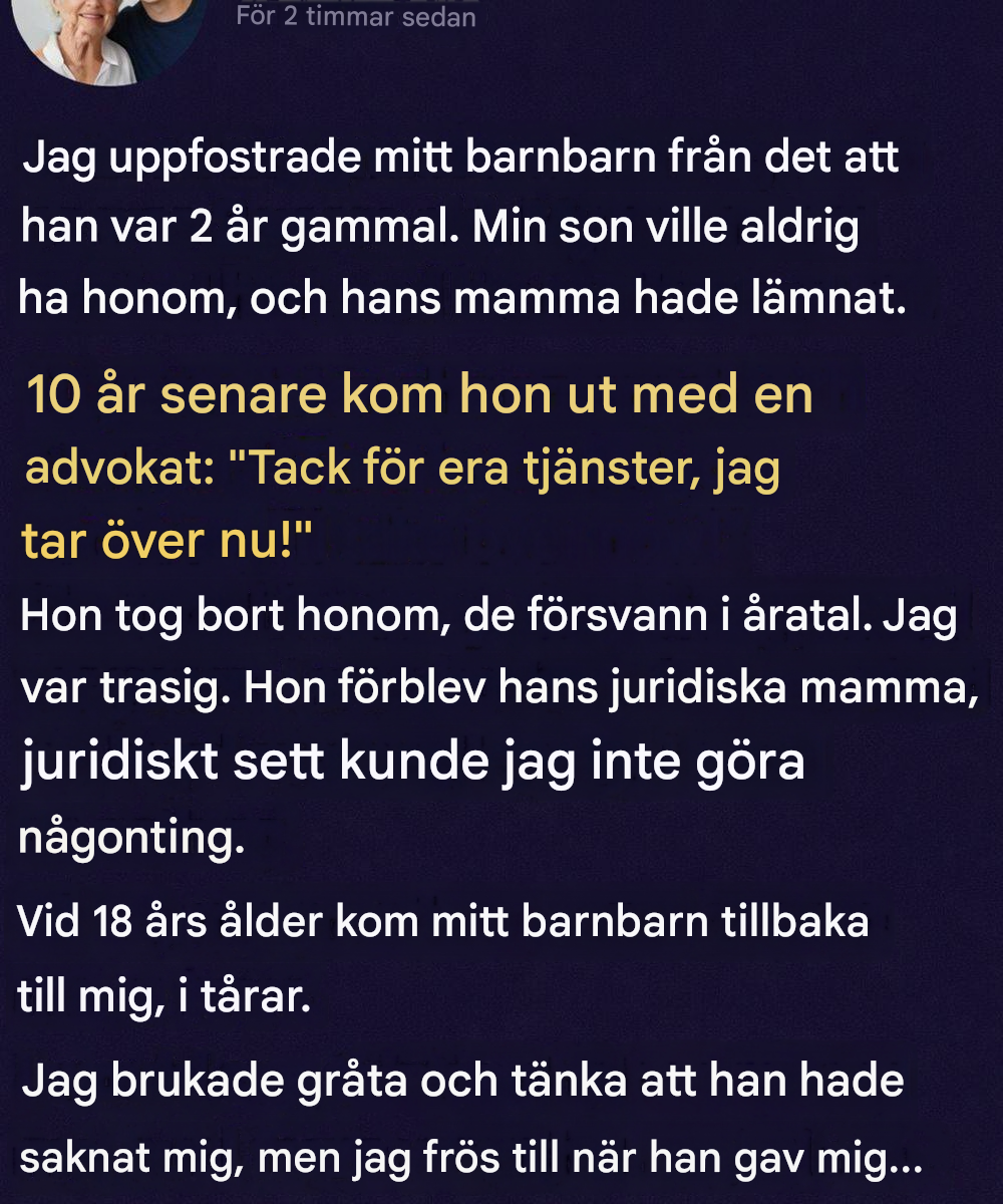 Hon tog mitt barnbarn ifrån mig efter att jag hade uppfostrat honom – år senare återvände han förvandlad