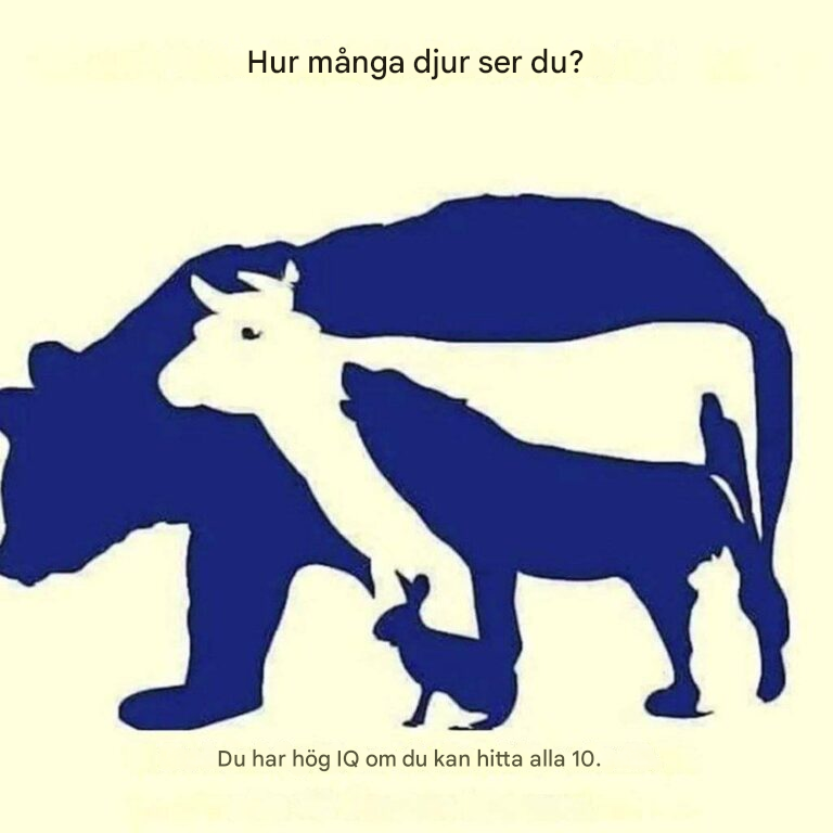 Kan du hitta alla 10 djuren på bilden?