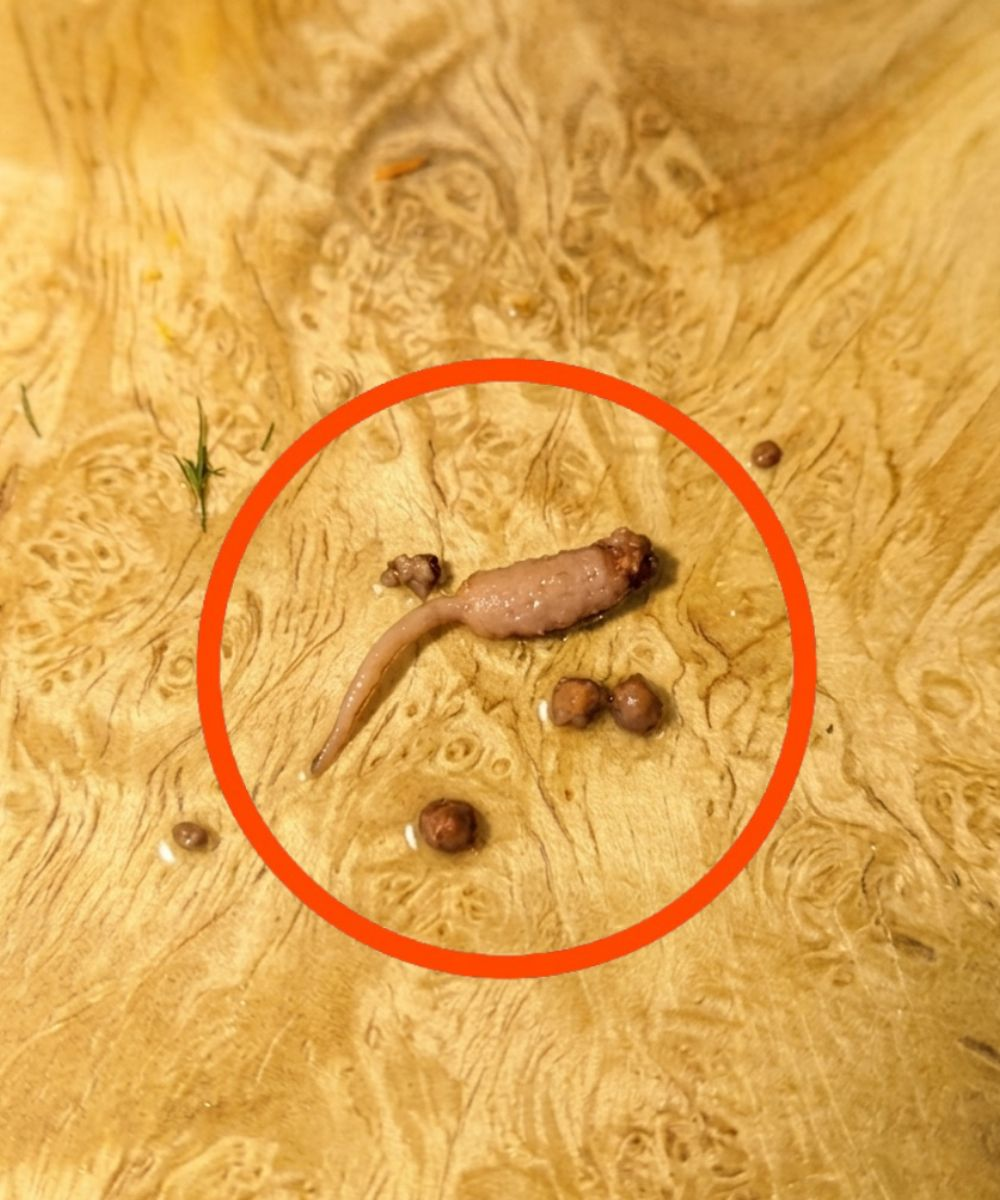 Jag stekte köttfärs och när jag tog ut den ur pannan lade jag märke till ett konstigt föremål som inte såg ut som nötkött.