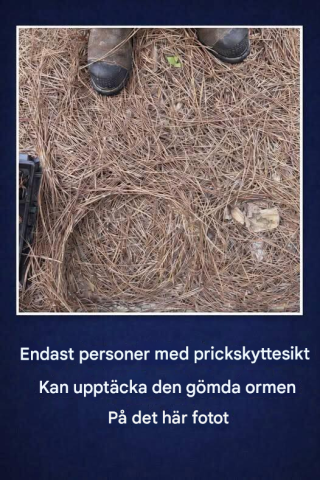 Tror du att du har prickskyttesikte? Hitta den gömda ormen på det här fotot