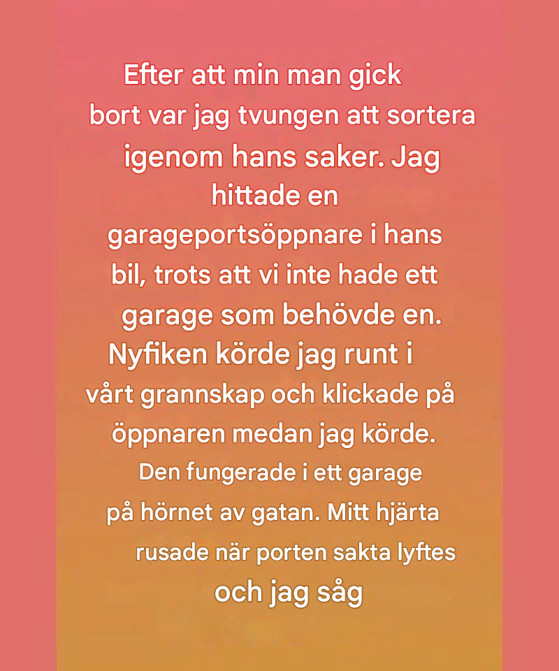 Min makes plötsliga död sedan många år lämnade ett tomrum i mitt hjärta som ingenting kunde känna.