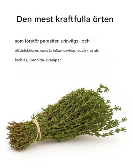 Det är en av de kraftfullaste växterna i världen.