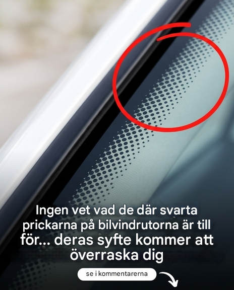 Du ser dem varje dag utan att någonsin bry dig om dem… De här små svarta prickarna på vindrutan har faktiskt ett överraskande syfte.