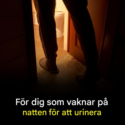 Överdriven nattlig urinering är ett tydligt tecken på… Läs mer