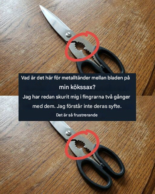 Vad är syftet med den tandade delen på en kökssax?