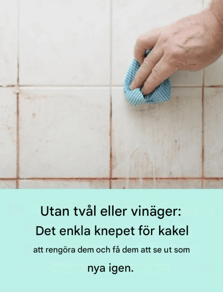 Ingen tvål eller vinäger behövs: ett enkelt knep för att rengöra kakel och få dem att glänsa som nya igen.